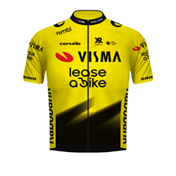 Team jersey TEAM VISMA | LEASE A BIKE